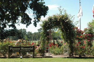 Glorious Rose Arch in the "Pioneer Memorial Garden" in May